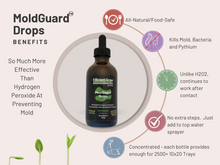 Load image into Gallery viewer, MoldGuard Drops - All-Natural Mold Prevention