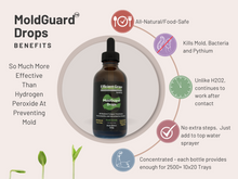 Load image into Gallery viewer, MoldGuard Drops - All-Natural Mold Prevention
